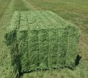 Alfalfa Hay Packaging 