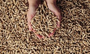 10 Benefits of A1 Wood Pellets for Heating