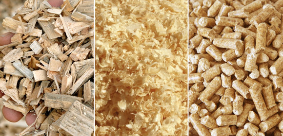 Wood Chips vs Wood Shavings