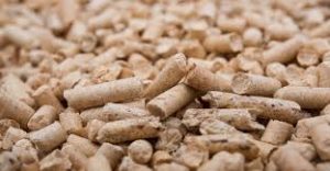 The Complete Guide to Biomass Pellets: Benefits, Prices, and Uses - SG ...